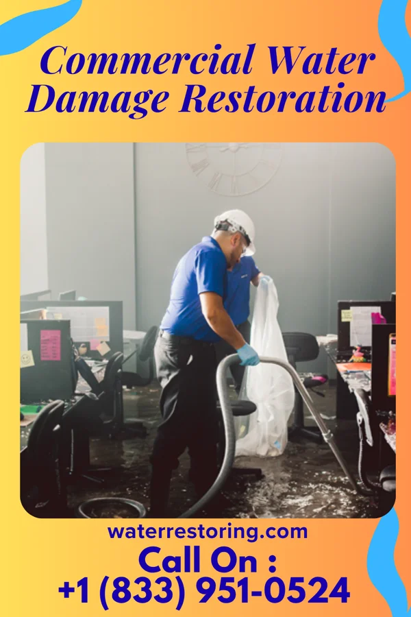 Commercial Water Damage Restoration in Chincoteague, VA
