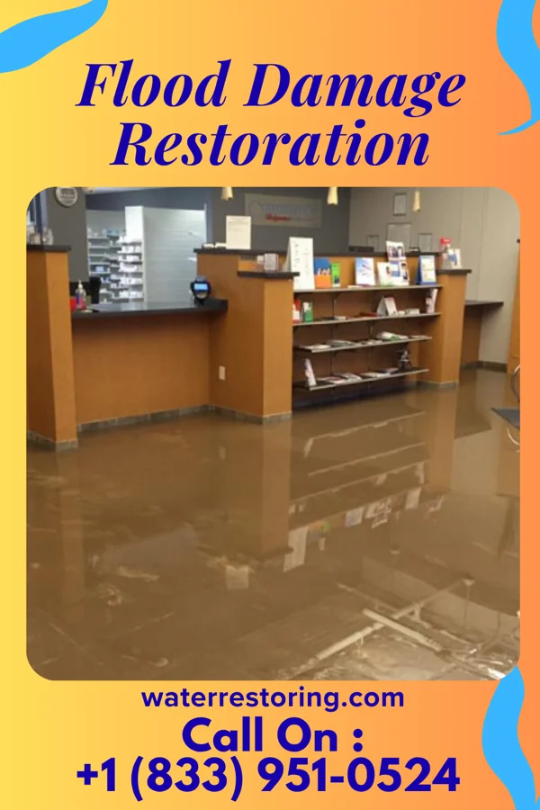Flood Damage Restoration in Chincoteague, VA