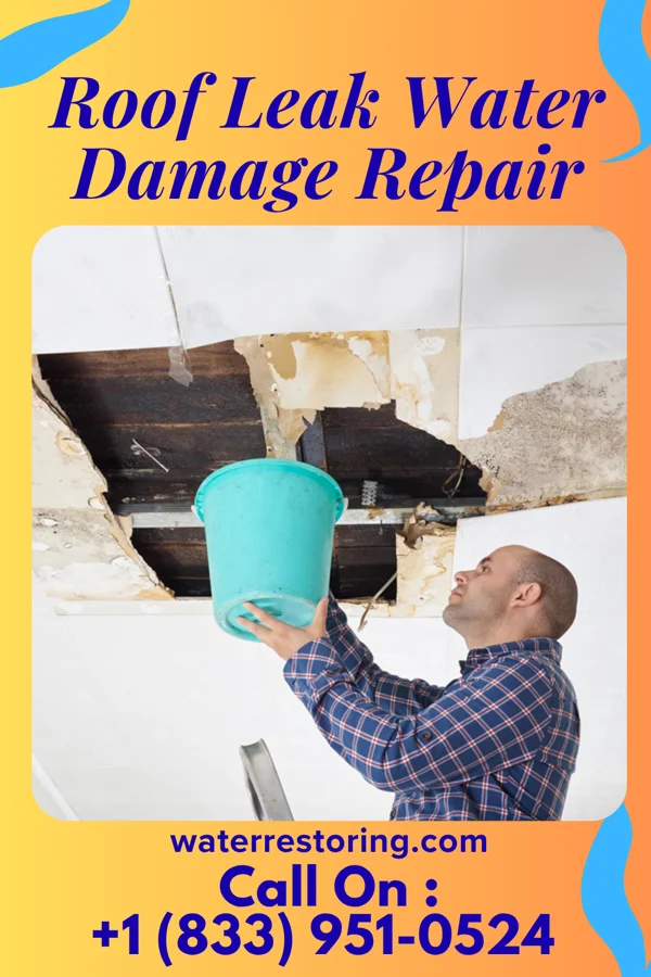 Roof Leak Water Damage Repair in Chincoteague, VA