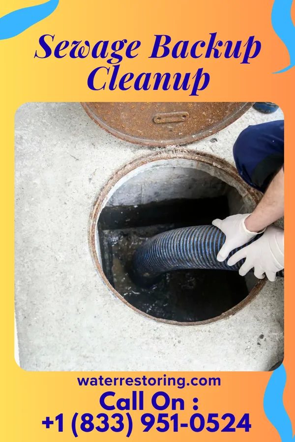 Sewage Backup Cleanup in Chincoteague, VA